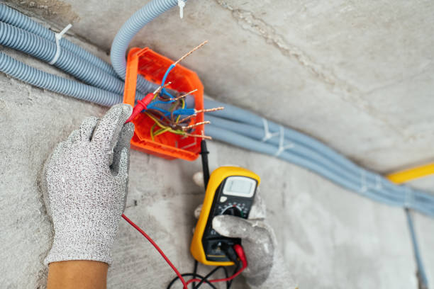 Best Licensed Electrician  in Genesee, ID